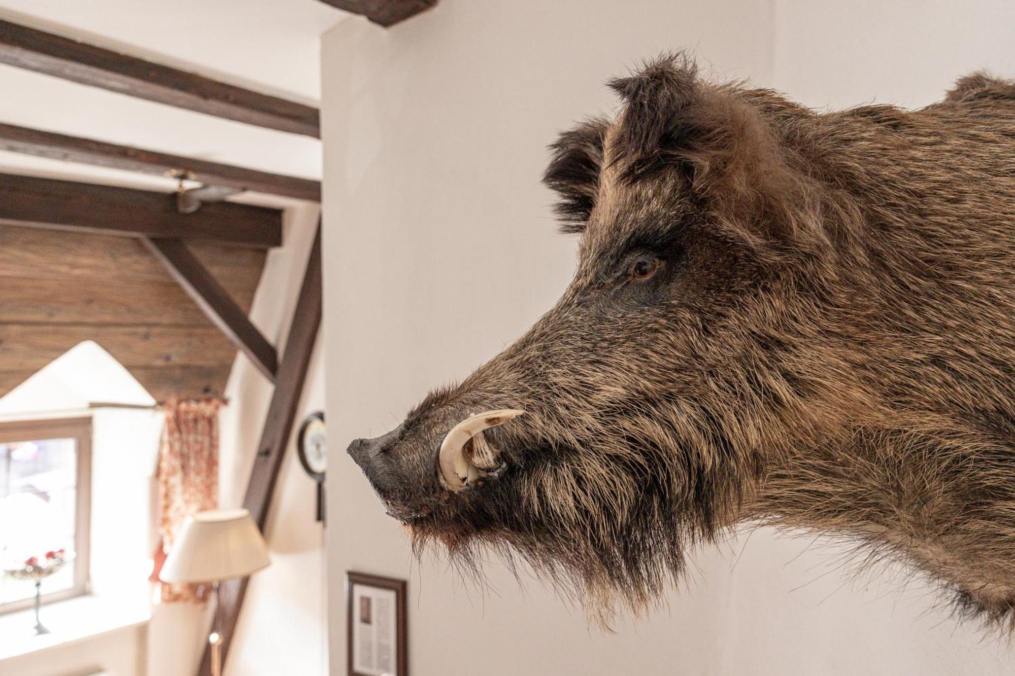Aparthotel Ansitz Felsenheim Lermoos Luaran gambar